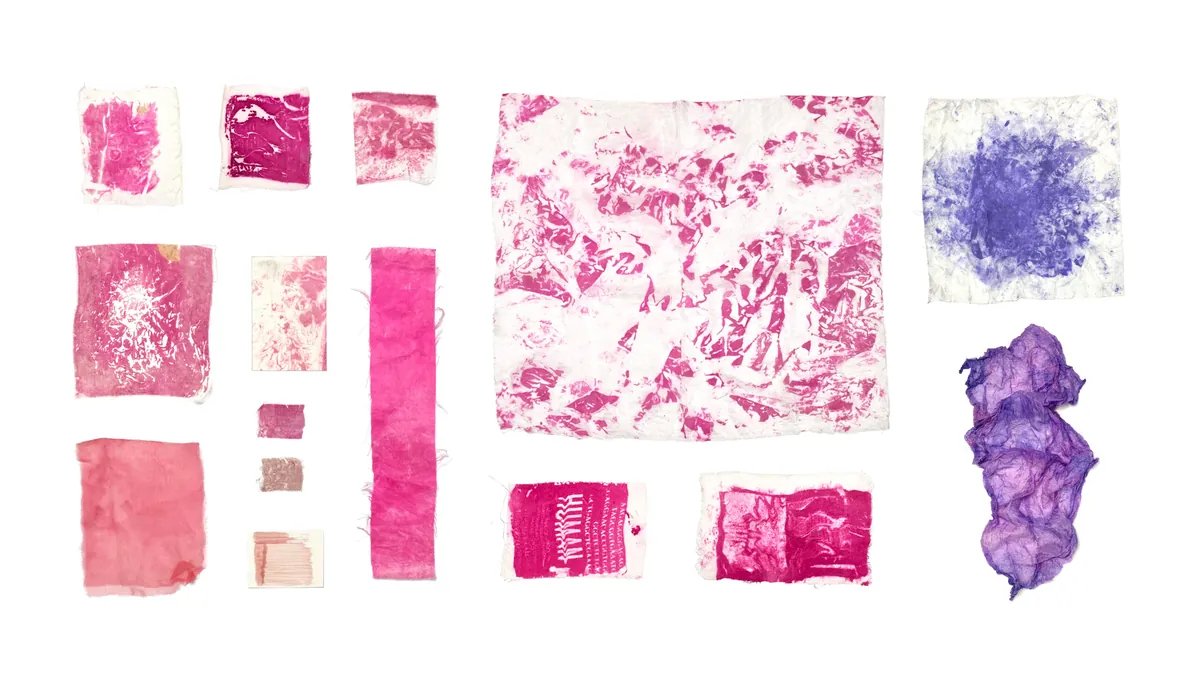 3607 — Bacterial Soundscape: documentation 6 of 6