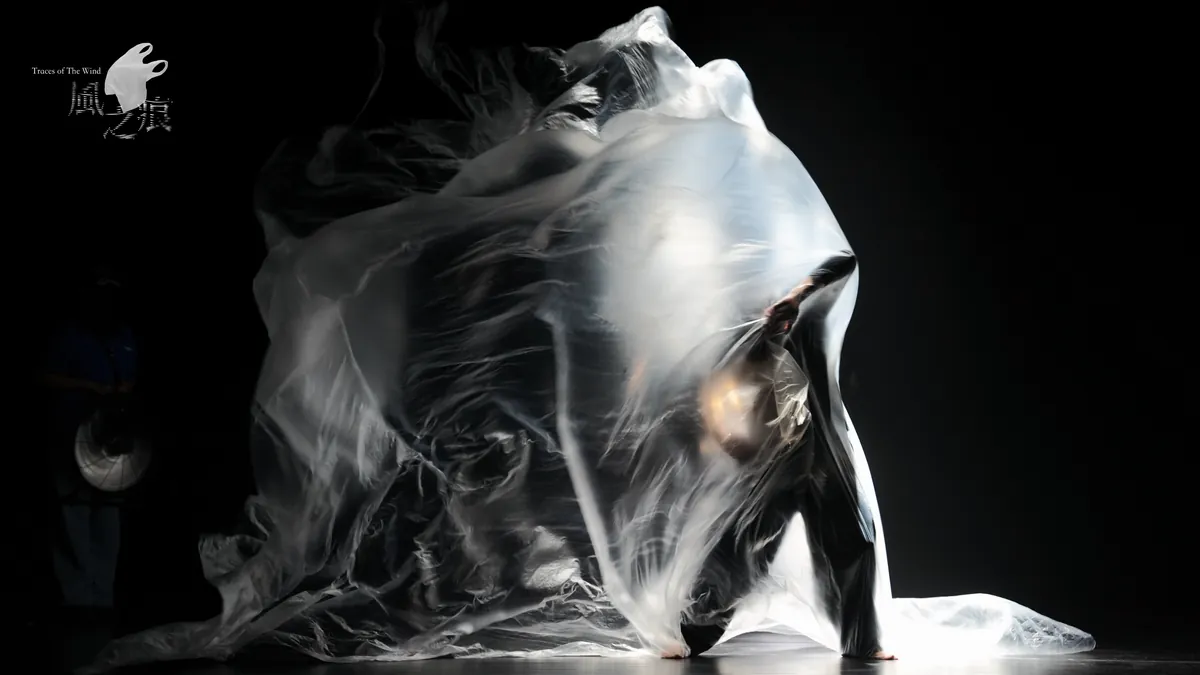 Traces of the Wind