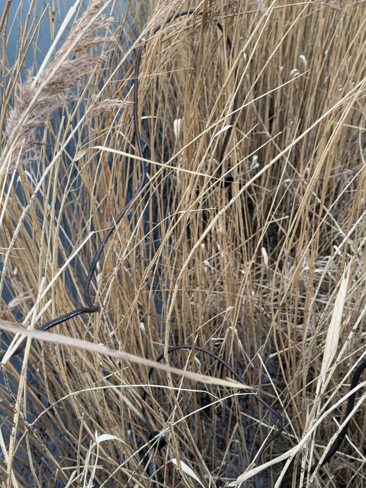 Naiad: documentation 1 of 6