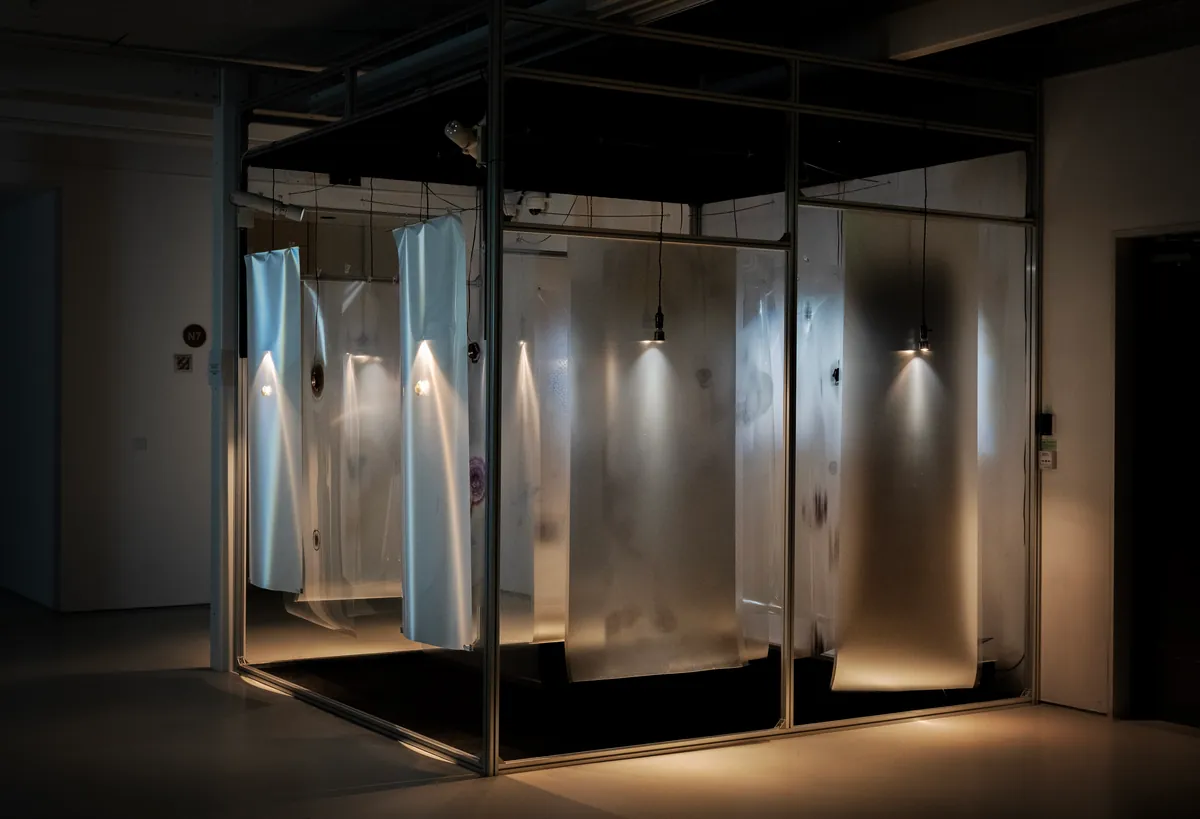 Trembling Chamber: documentation 6 of 6